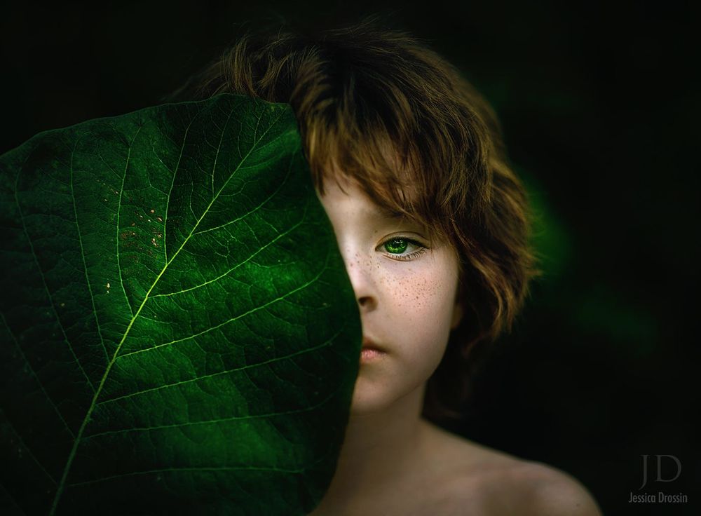 Обои для рабочего стола Маленький мальчик с необычными зелеными глазами прикрыл лицо большим листом, by Djessica Drossin