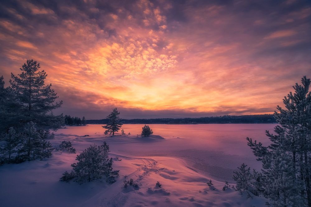 Обои для рабочего стола Холодный как лед закат над полем, Norway / Норвегия, фотограф Ole Henrik Skjelstad