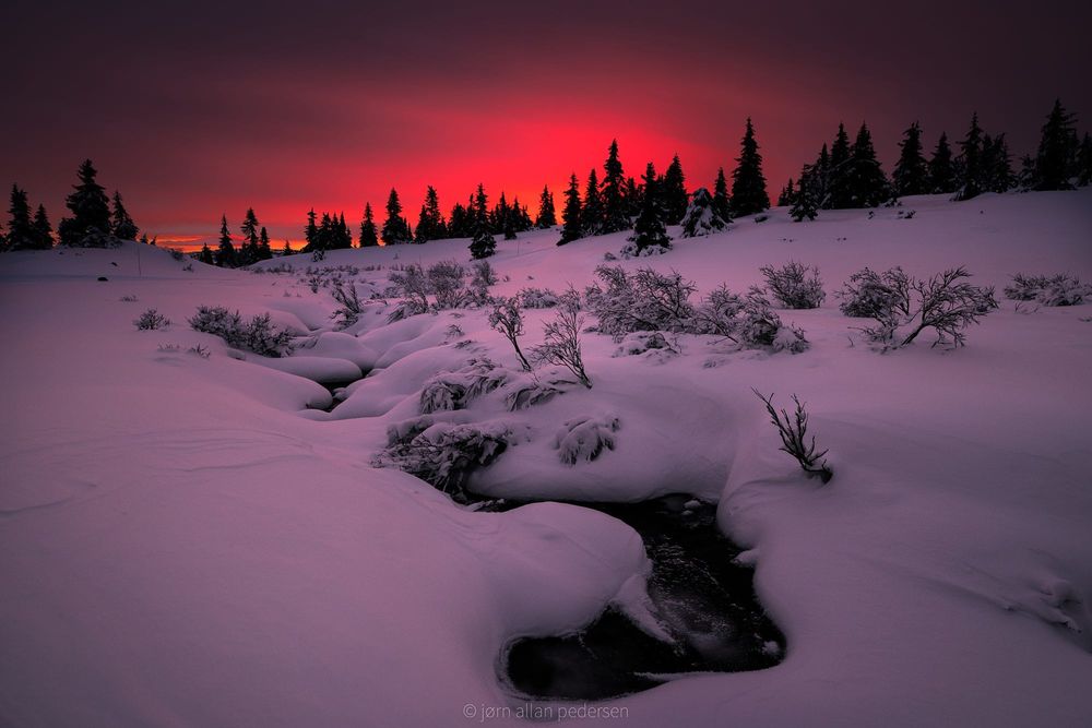 Обои для рабочего стола Холодное розовое утро, фотограф Jоrn Allan Pedersen