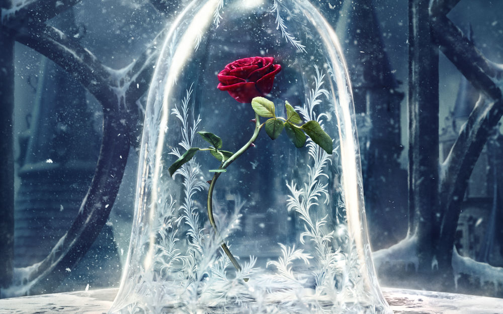 Обои для рабочего стола Замороженная роза из фильма Красавица и чудовище / Beauty and the Beast
