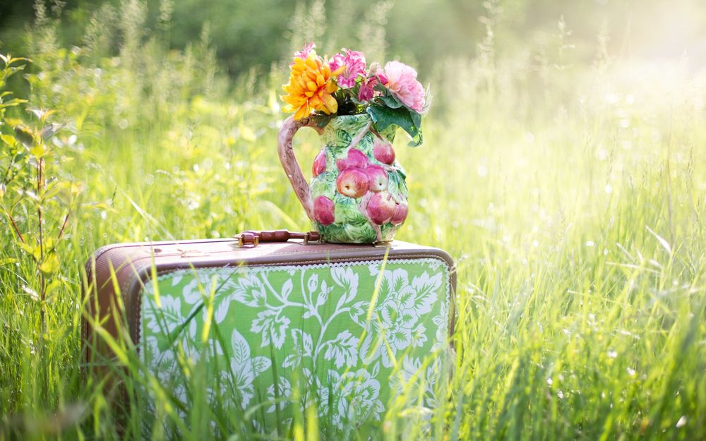 Обои для рабочего стола Букет цветов в вазе стоит на красивом цветастом чемодане, среди зеленой травы