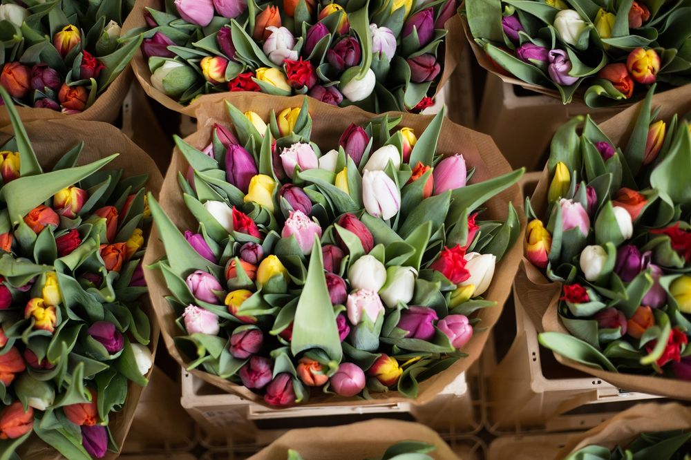 Обои для рабочего стола Готовые букеты тюльпаны белого, розового, желтого и красного цвета и сиреневого цвета