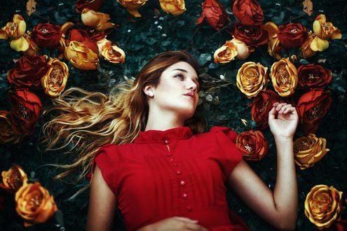 Обои на рабочий стол Девушка лежит среди роз, фотограф Ronny Garcia