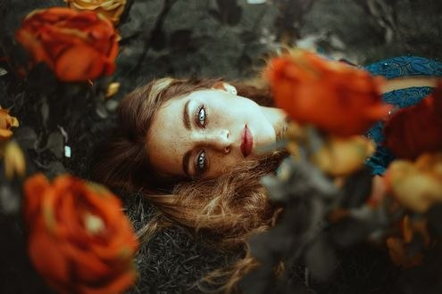 Обои на рабочий стол Девушка с веснушками на лице лежит среди цветов, фотограф Ronny Garcia