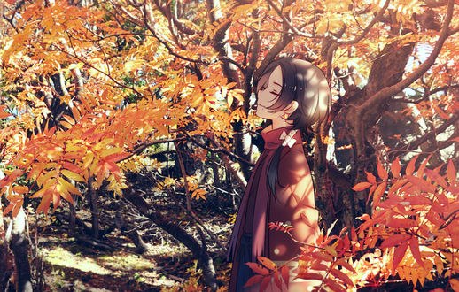 Обои на рабочий стол Kashuu Kiyomitsu / Кашу Киямитсу из игры Touken Ranbu