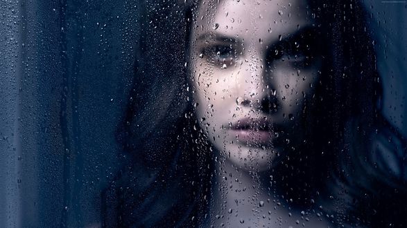 Обои на рабочий стол Модель Барбара Палвин / Barbara Palvin за стеклом с каплями воды