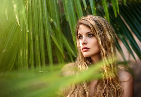 Обои на рабочий стол Модель Venkara, фотограф Miki Macovei