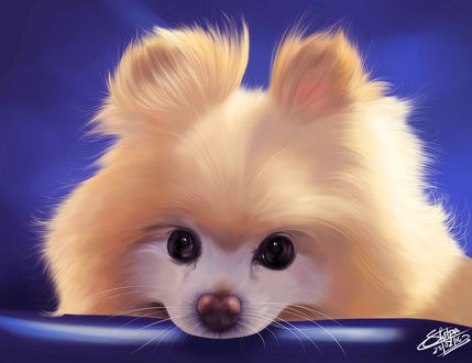 Обои на рабочий стол Очаровательный песик, by Khushiart