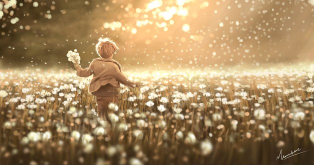 Обои на рабочий стол Мальчик в поле из одуванчиков, автор Shikamuro