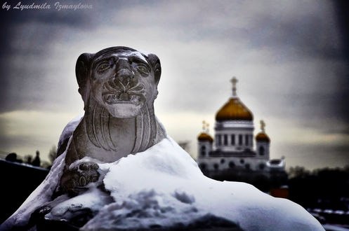 Обои на рабочий стол Лев в снегу и Храм Христа Спасителя в Москве, by Людмила Измайлова