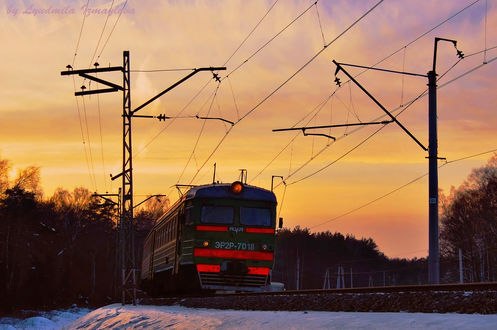 Обои на рабочий стол Подмосковная электричка едет среди деревьев