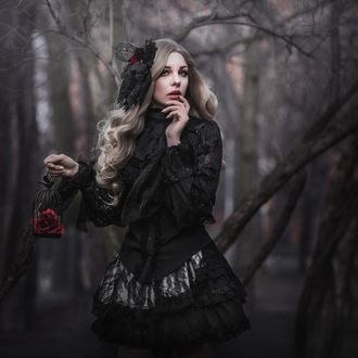 Обои на рабочий стол Девушка в черной одежде с украшениями на волосах на фоне леса держит в руке клетку с розой, by Nina Janiak