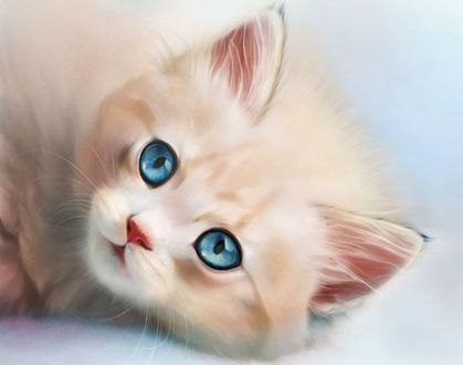 Обои на рабочий стол Милый голубоглазый котенок, by Lana Flamy