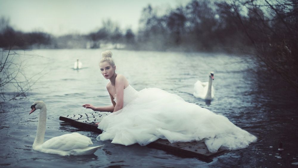 Обои для рабочего стола Девушка в шикарном сводебном платье лежит на плоту посреди озера, вокруг нее плавают лебеди