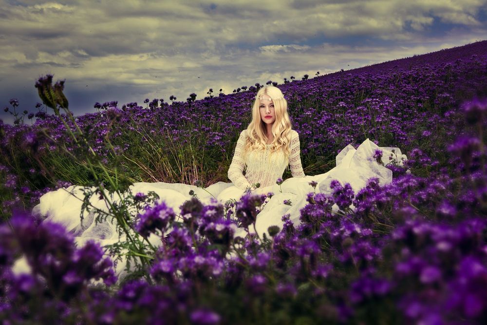Обои для рабочего стола Блондинка - модель Лада сидит на поле фиолетовых цветов, чешский фотограф Karolina Ryvolova / Каролина Рыволова