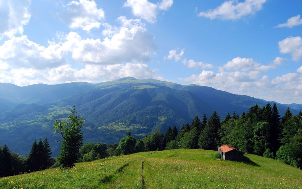 Сарай на белом фоне