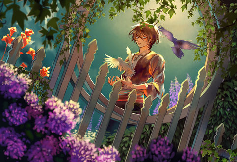 Обои на рабочий стол Парень с голубями, by Алисса Миллер