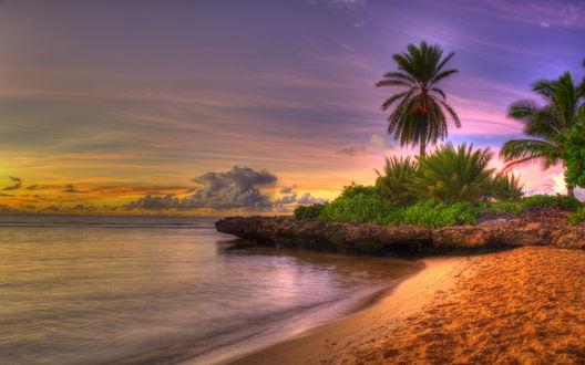 Обои на рабочий стол Тропический пляж на закате