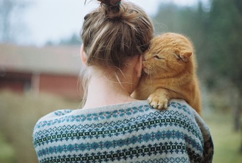 Обои на рабочий стол Рыжий кот на плече девушки, by Hanne Johansen