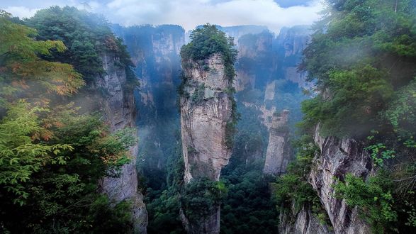 Обои на рабочий стол Горные вершины поросшие лесом, Zhangjiajie National Forest Park, China / Национальный лесной парк Чжанцзяцзе, Китай