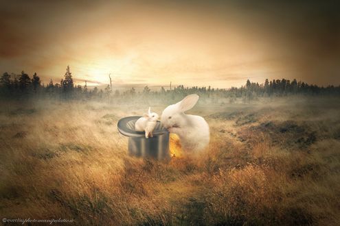 Обои на рабочий стол Крольчиха и крольчонок в шляпе, by evenliu