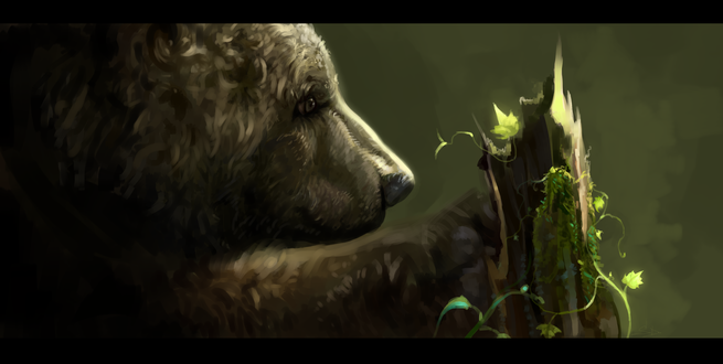 Обои на рабочий стол Медведь точит лапы об сломанное дерево, by SalamanDra-S
