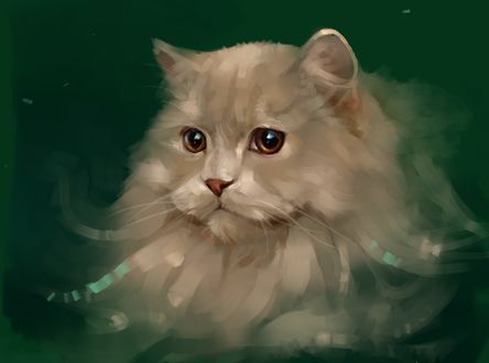 Обои на рабочий стол Пушистый кот на зеленом фоне, by SalamanDra-S