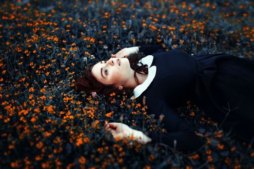 Обои на рабочий стол Девушка лежит на поляне цветов, фотограф Ronny Garcia