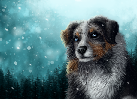 Обои на рабочий стол Пес под снегопадом, by Gaia-Arts