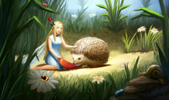 Обои на рабочий стол Девушка с большим ежом сидит на полянке, by Helena Cnockaert