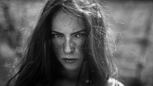 Обои на рабочий стол Модель Катя с веснушками на лице, фотограф Георгий Чернядьев