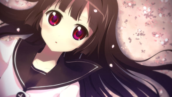 Обои на рабочий стол Рисэ Мацумото / Rise Matsumoto из аниме Лилии на ветру / Yuru Yuri / Легкое Юри лежит под падающими лепестками сакуры