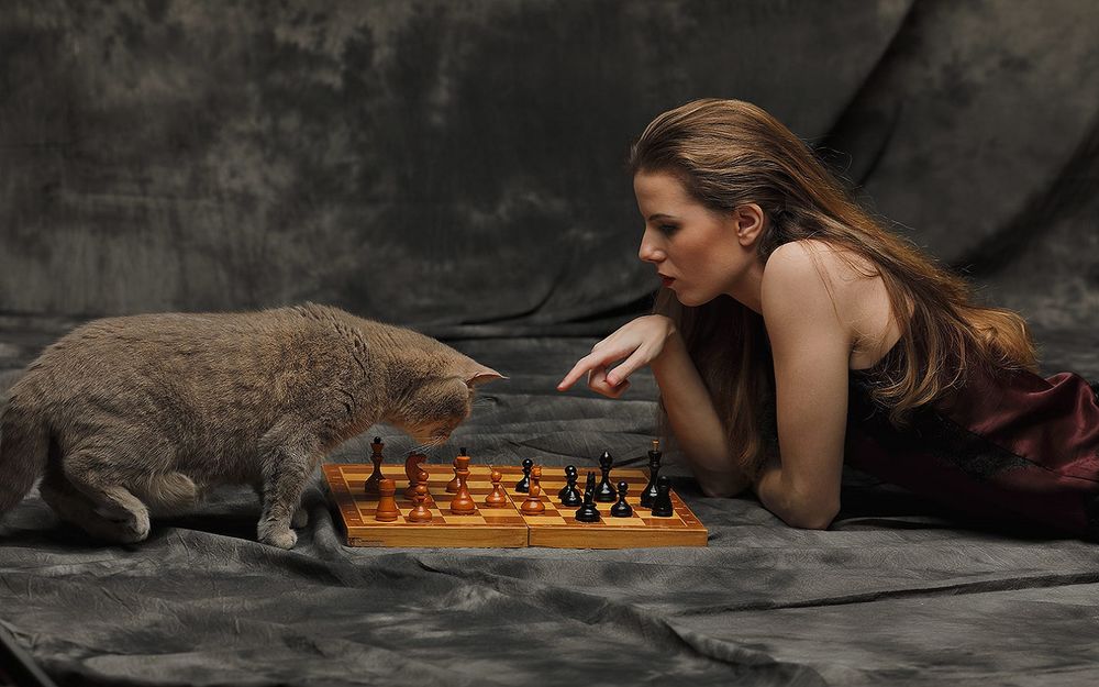 Обои для рабочего стола Девушка с котом перед шахматами, фотограф Полин