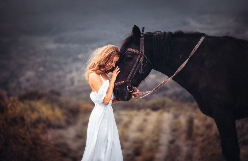 Обои для рабочего стола Девушка в белом платье положила голову на морду коня, на размытом природном фоне. Фотограф Роман Гутиков