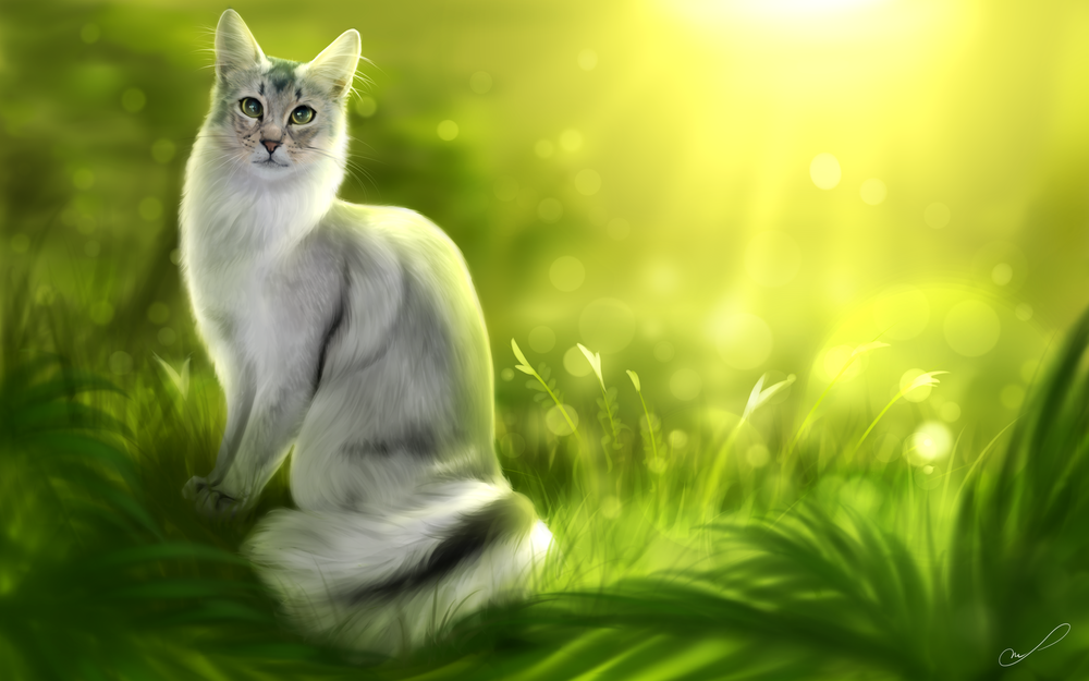 Обои для рабочего стола Кошка сидит в траве, by Martith