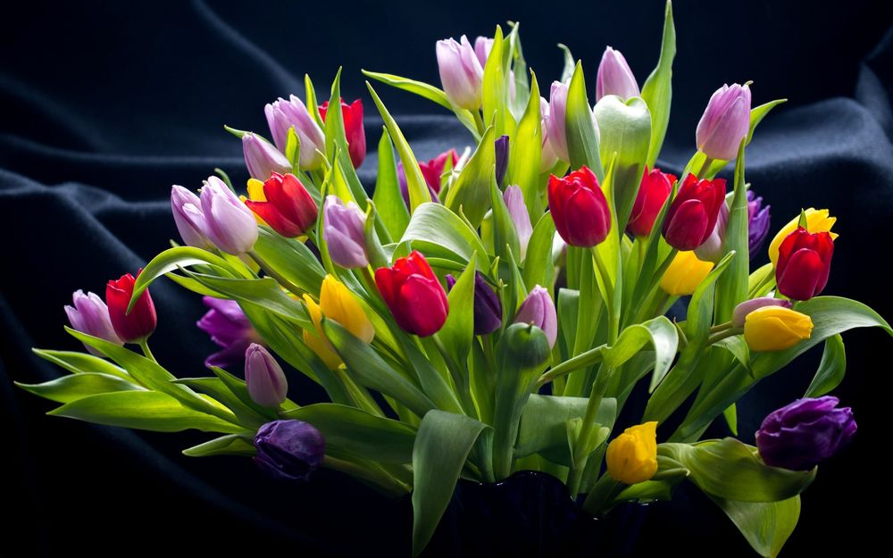 Обои для рабочего стола Букет разноцветных тюльпанов
