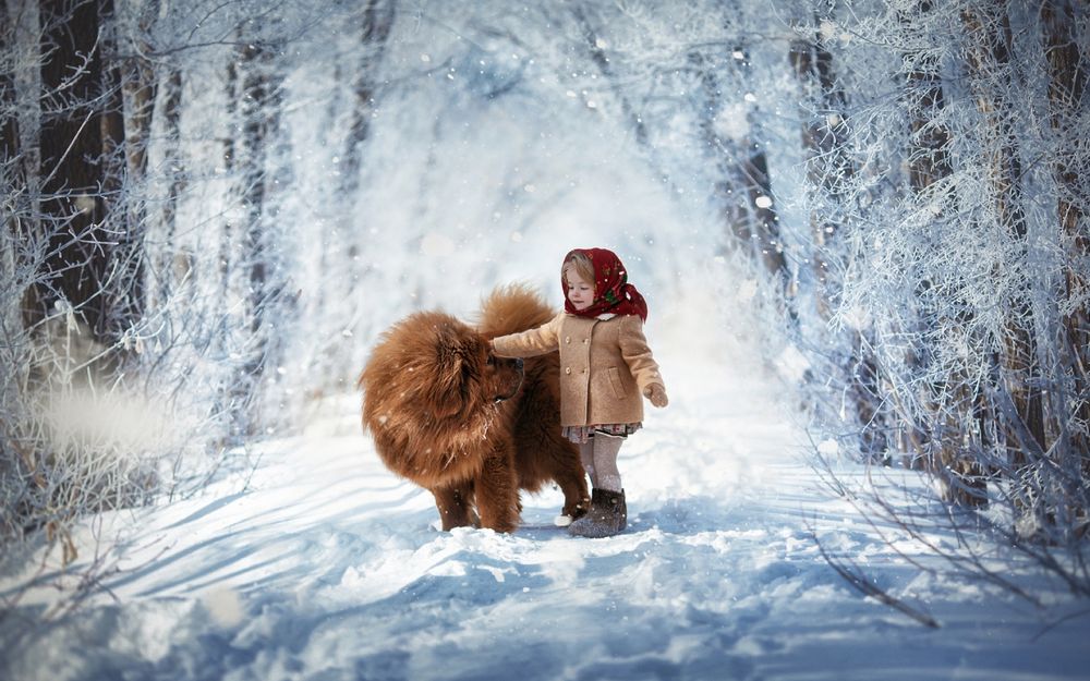 Обои для рабочего стола Девочка с собакой в зимнем лесу, фотограф Мытник Валерия