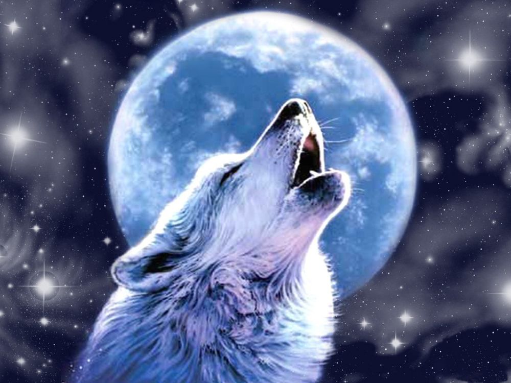 Обои для рабочего стола Воющий волк на фоне луны и космоса