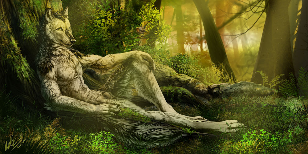 Обои для рабочего стола Волк - оборотень отдыхает, облокотившись о дерево в лесу