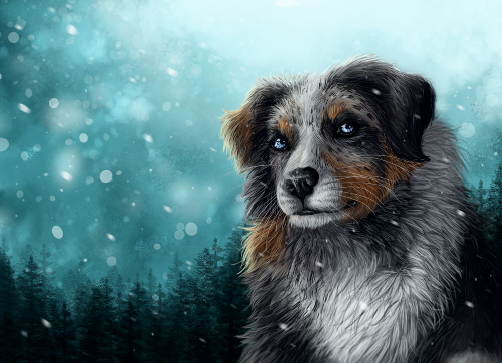 Обои для рабочего стола Пес под снегопадом, by Gaia-Arts