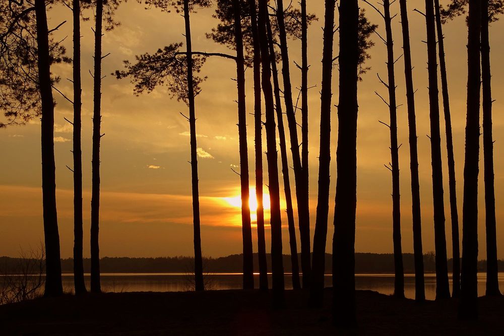 Обои для рабочего стола Золотой закат над озером Sulejowski Reservoir в Poland / Польше, фотограф Joanna RB