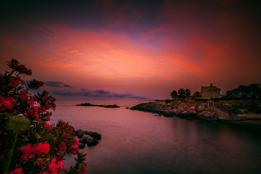 Обои для рабочего стола Красочный закат на побережье, на переднем плане розовые цветы, фотограф Руслан Болгов
