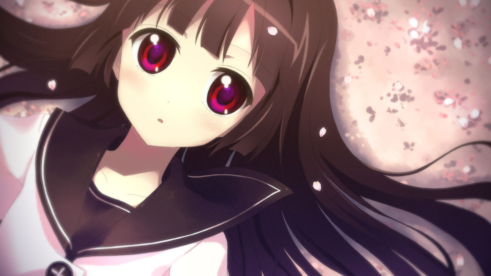 Обои для рабочего стола Рисэ Мацумото / Rise Matsumoto из аниме Лилии на ветру / Yuru Yuri / Легкое Юри лежит под падающими лепестками сакуры