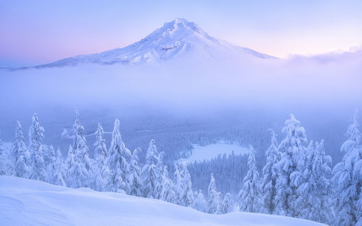 Обои на рабочий стол Зимний вид на вулкан Маунт-Худ / Mount Hood в тумане с горы Том Дик и Гарри / Tom Dick and Harry на фоне окутанных снегом хвойных лесов в штате Орегон, США / Oregon, USA, фотограф Justin Poe