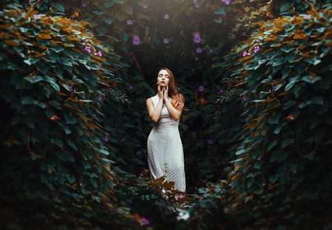 Обои на рабочий стол Девушка стоит в окружении зеленых кустов, фотограф Ronny Garcia