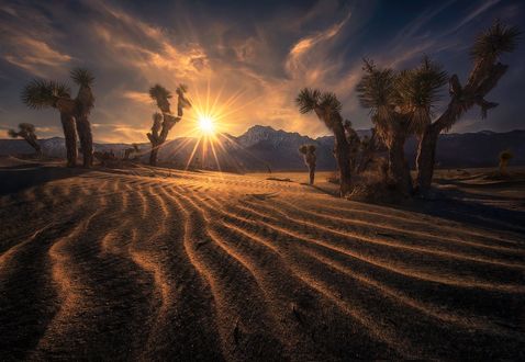 Обои на рабочий стол Закат над песками, California / Калифорния, фотограф Marc Adamus