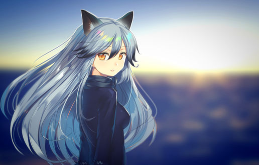 Обои на рабочий стол Silver fox / Серебряная лиса из аниме Друзья-зверушки / Kemono Friends, by okaka