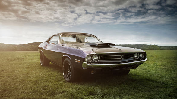 Обои на рабочий стол Машина Dodge Challenger стоит на поляне