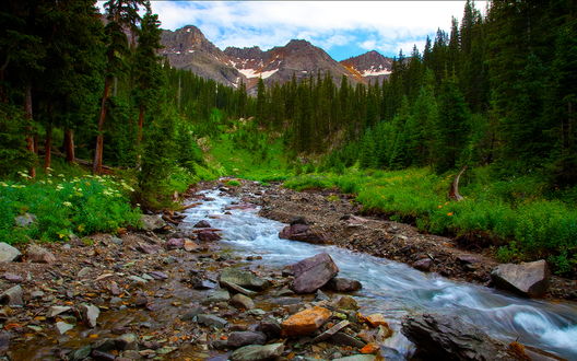 Обои на рабочий стол Ручей среди заросших лесом холмов на фоне гор Sneffels Wilderness, штат Колорадо, США / Colorado, USA, фотограф Mickey Shannon