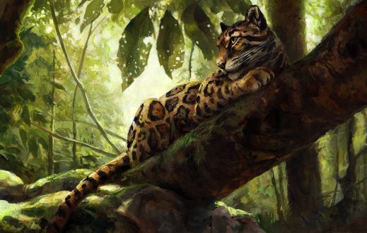 Обои на рабочий стол Леопард лежит на дереве, by kenket